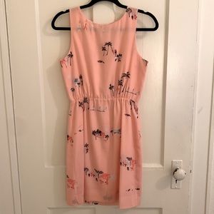 JCrew Size 2 Summer Dress